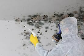 Mold Odor Removal Services in Rockfish, NC